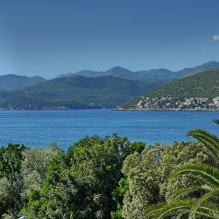 City Beach Villa With Pool And Sea View ヴィラ ドゥブロブニク